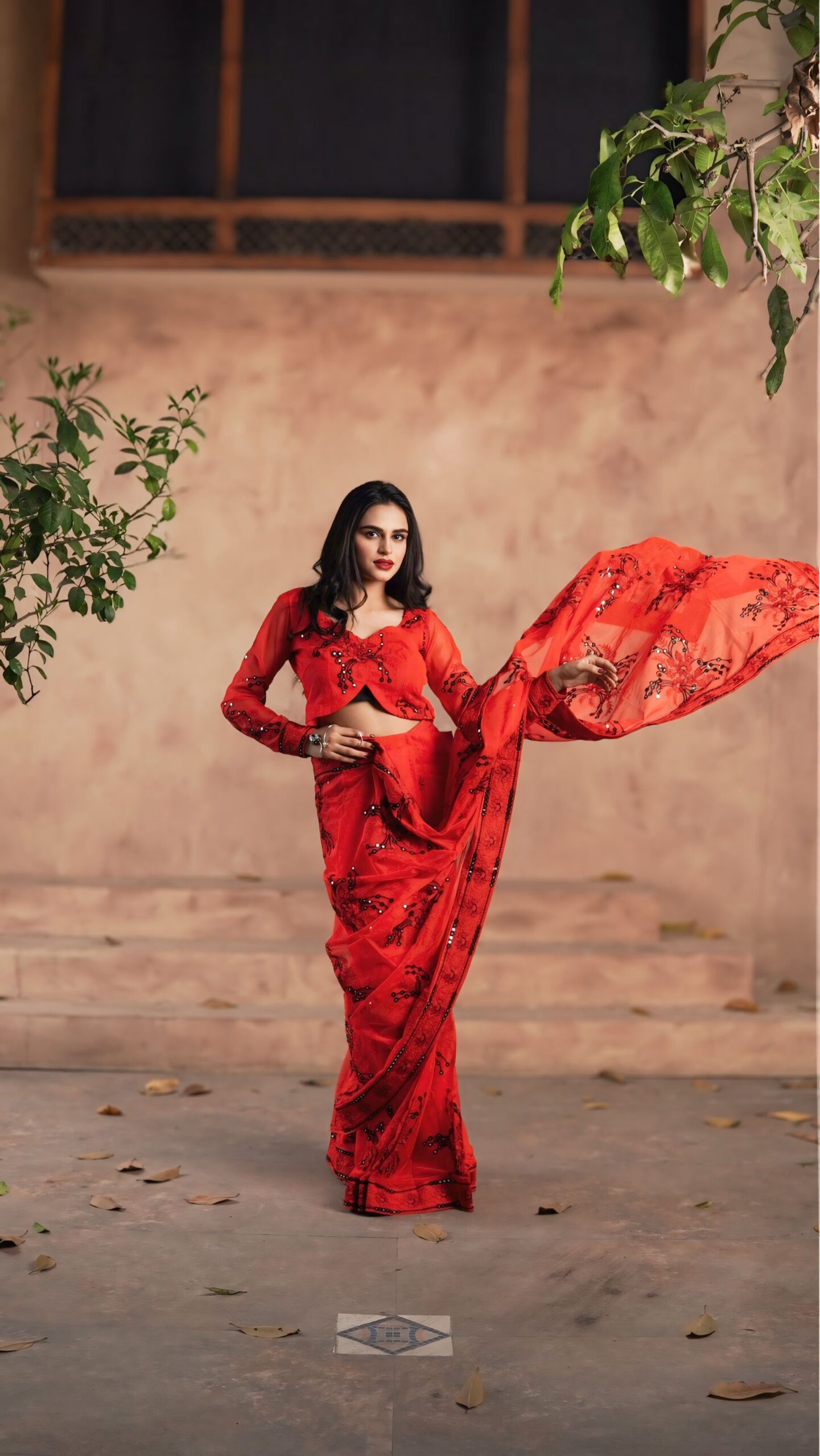 attraction (dilkashi) ii attraction (dilkashi) ii