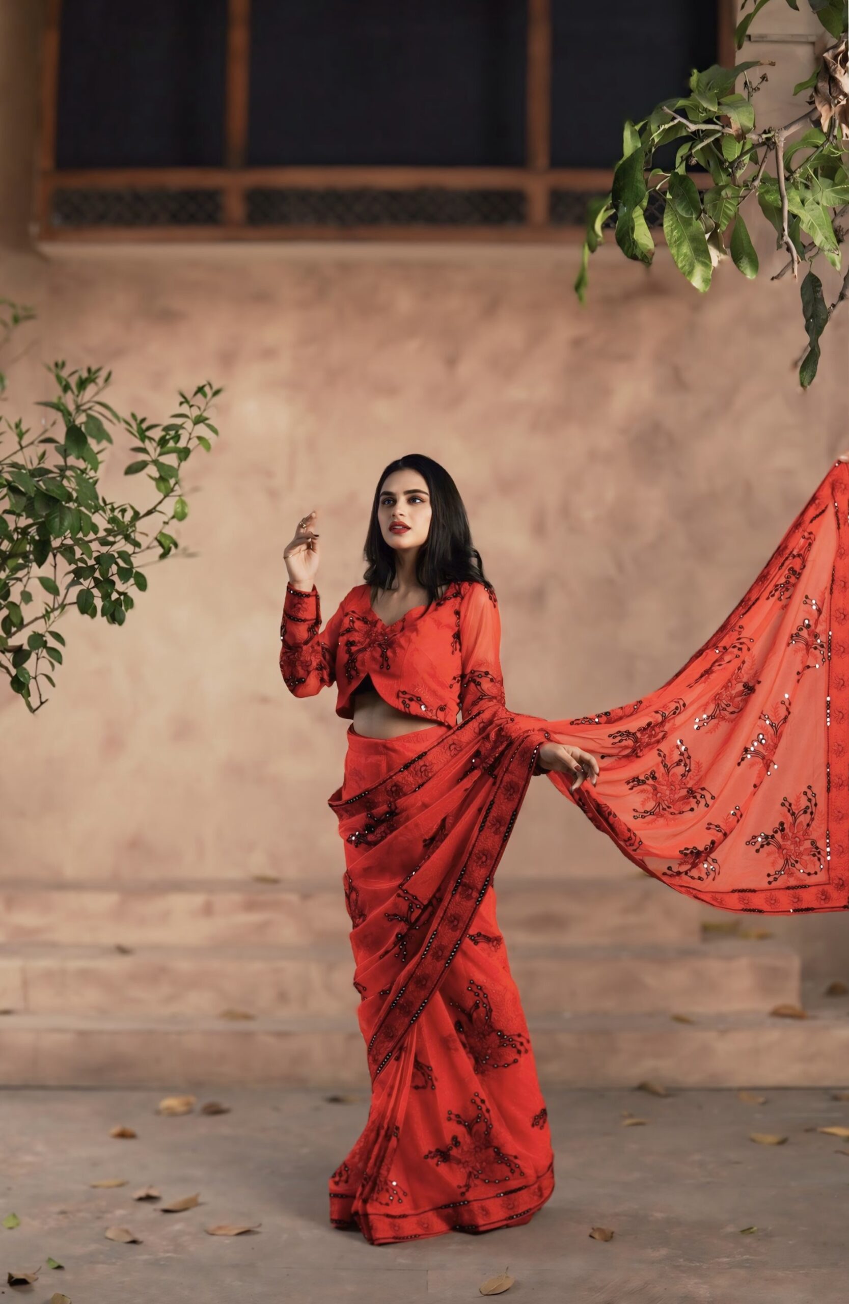 attraction (dilkashi) ii attraction (dilkashi) ii